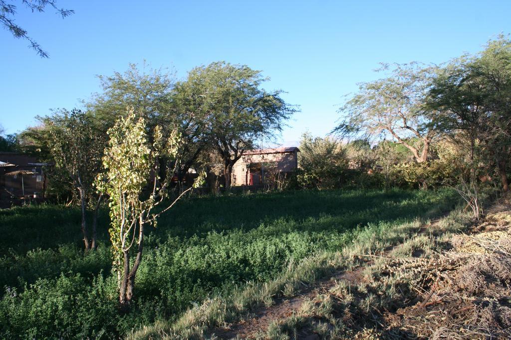 Quinta Adela Bed & Breakfast San Pedro de Atacama Kültér fotó
