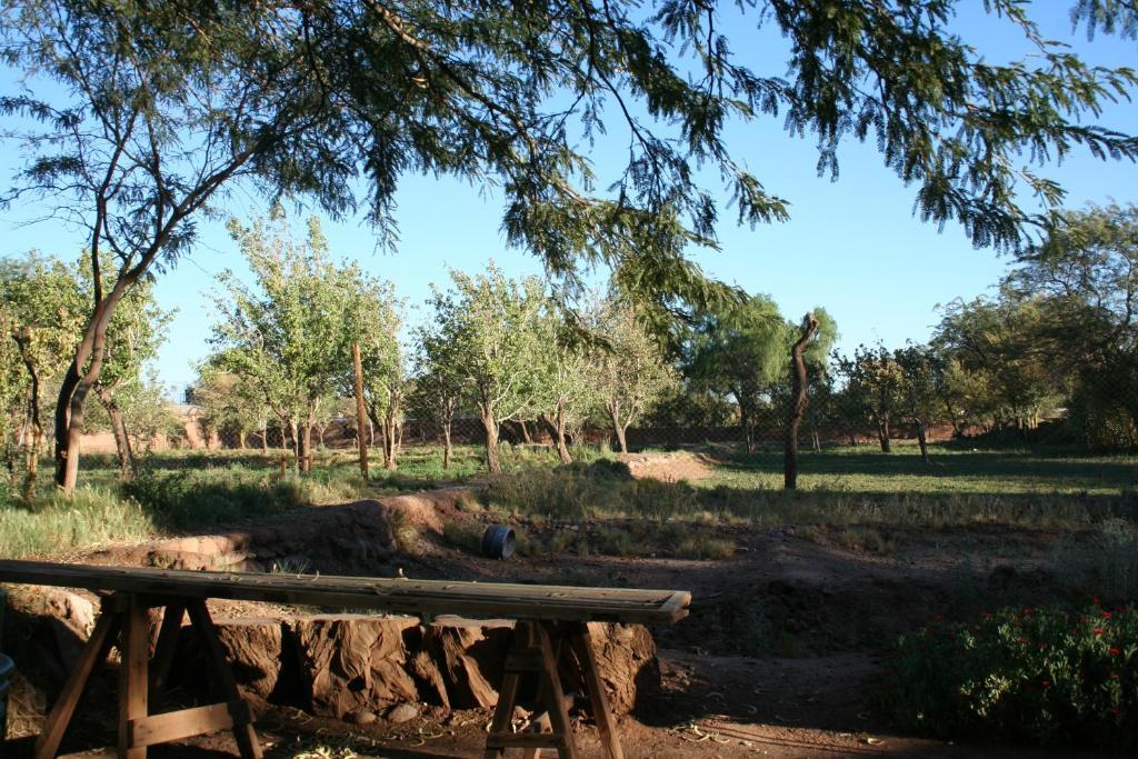 Quinta Adela Bed & Breakfast San Pedro de Atacama Kültér fotó