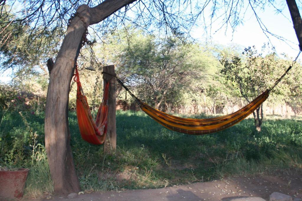 Quinta Adela Bed & Breakfast San Pedro de Atacama Kültér fotó